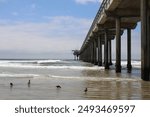 Scripps Pier, La Jolla CA