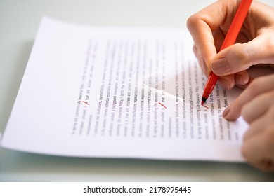 Script Proofread And Sentence Grammar Spell Check. Correct Mistakes