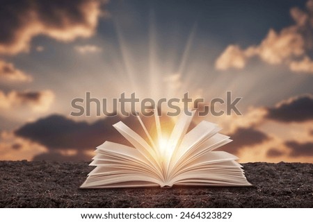 Scriptures on pages open book at bright sunset background