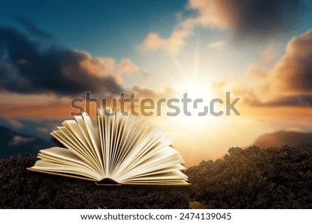 Scriptures on pages open book at bright sunset background