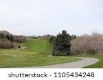 Scrub oak trees and a pine tree at a golf course in the Bountiful hills near Salt Lake City Utah