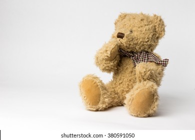 scruffy teddy bear
