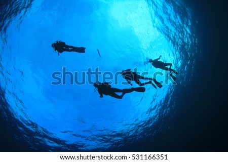 Scuba dive