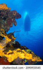 A scuba dive boat floats on the surface of the flat calm ocean. In the foreground is a section of coral reef with orange sponge growing out of it