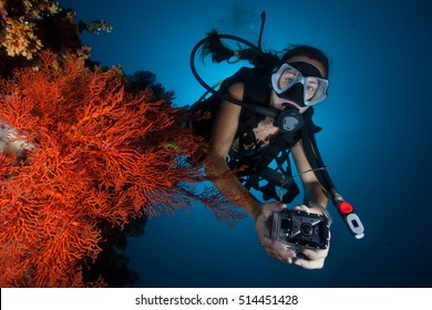 Scuba Diver Doing Underwater Photography