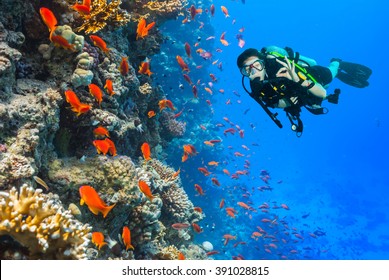 Scuba Diver Explore A Coral Reef Showing Ok Sign