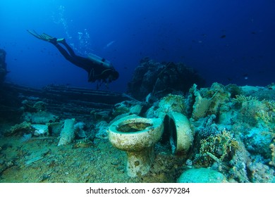 Scuba Diver Explore Yolanda Reef