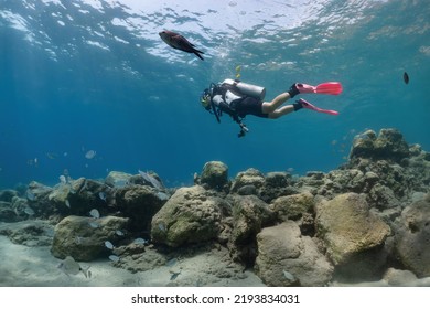 Scuba Diver Girl In The Sea