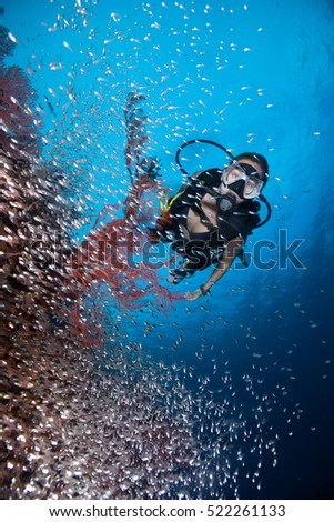 SCUBA diver, glassfish and sea fans on the tropical coral reef in Asia