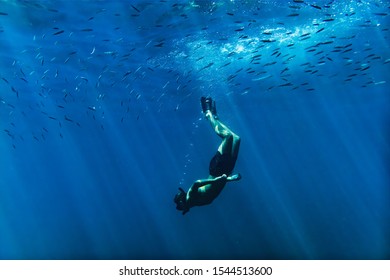 Scuba diver into the mediterranean sea with flocks of fish over head, near Nice, cote d'azur, south France