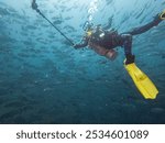 A scuba diver in a large school of Big Eye Trevally, Jackfish, or Caranx sexfasciatus, outside Puerto Galera, Philippines