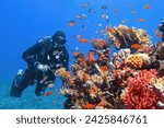 Scuba diver near beautiful coral reef surrounded with shoal of colorful coral fish 