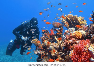 Scuba diver near beautiful coral reef surrounded with shoal of colorful coral fish 