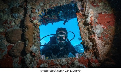 scuba diver posing in a window full of corals in a shipwreck - Shutterstock ID 2241320699