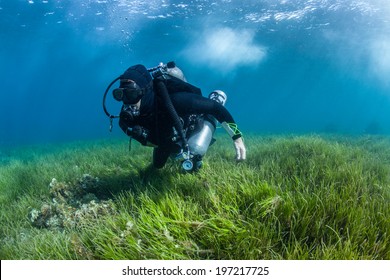 scuba diver in the shallows