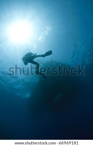 scuba diver silhouetted