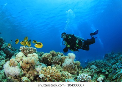 Scuba Diver Swims Over Coral Reef