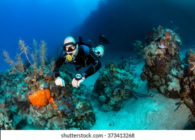 SCUBA diver in a technical sidemount cofiguration on a tropical coral reef