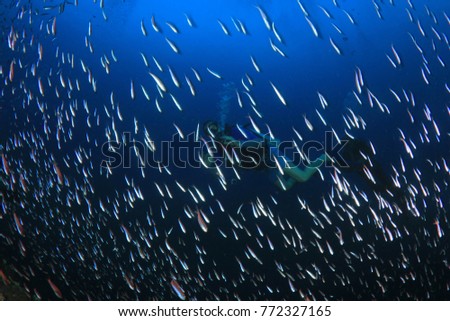 Similar – Image, Stock Photo fisheye Green Buoy Ocean