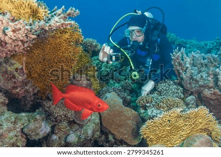 Scuba diver with an underwater camera taking a photo of a bright red bigeye fish on a vibrant coral reef.