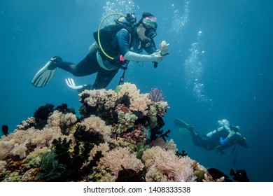 Scuba Divers In Anilao Philippines