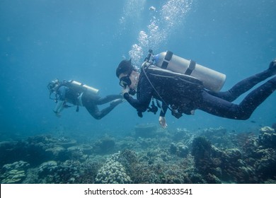 Scuba divers in Anilao Philippines - Shutterstock ID 1408333541