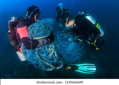 5,422 Ghost Fish Images, Stock Photos & Vectors | Shutterstock