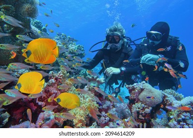 Scuba divers couple  near beautiful coral reef surrounded with shoal of coral fish and three yellow butterfly fish