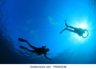 Scuba divers diving 