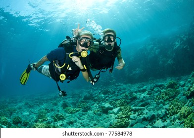 Scuba Divers Enjoy A Scuba Dive