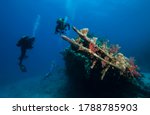 Scuba divers explore sunken ships at the bottom of the sea. Marine life underwater in blue ocean. Observation animal world. Scuba diving adventure in Red sea, coast Africa