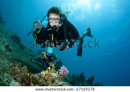 scuba divers look at tropical fish underwater in clear blue water