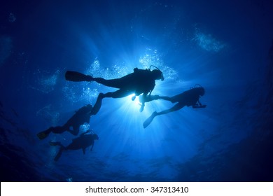Scuba diving - Shutterstock ID 347313410