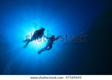 Similar – Image, Stock Photo Divers in peaceful underwater scene in vivid blue ocean