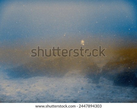 Scuba diving between La Digue and Praslin Island in Seychelles : whitetip reefshark Triaenodon obesus in murky sandy current and distant view on seafloor