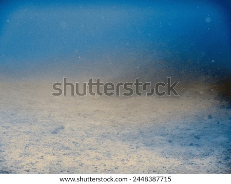 Scuba diving between La Digue and Praslin Island in Seychelles : whitetip reefshark Triaenodon obesus in murky sandy current and distant view on seafloor