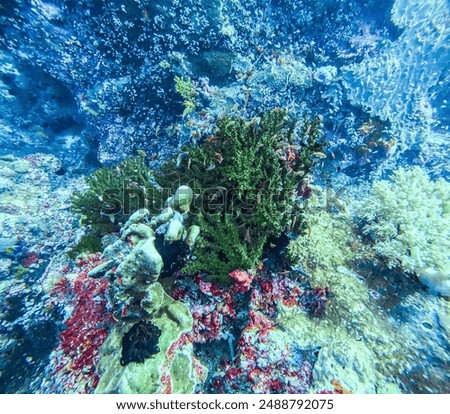 scuba diving in the deep blue ocean Indonesia High quality photo