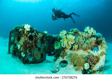 Scuba Diving Diver Shipwreck Kapoposang Sulawesi Indonesia Underwater