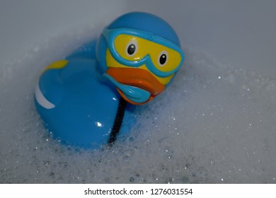 Scuba Diving Duck Stock Photo 1276031554 | Shutterstock