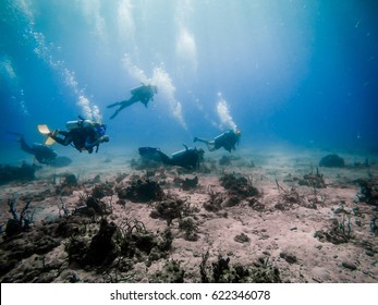 Scuba Diving Florida Keys Key Largo