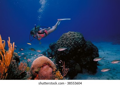 A Scuba Diving Girl In A Bikini Poses Above The Coral Reef In The Warm Waters At St. Croix Island In US Virgin Islands.