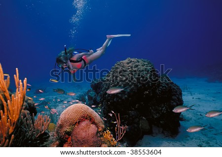 A scuba diving girl in a bikini poses above the coral reef in the warm waters at St. Croix Island in US Virgin Islands.