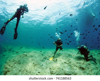 Scuba Diving In Malta