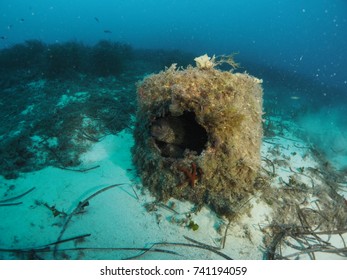 Scuba Diving In Malta