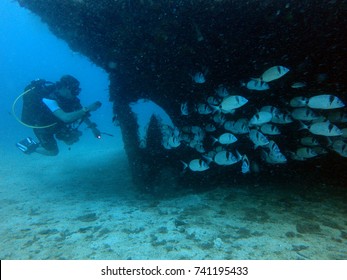 Scuba Diving In Malta