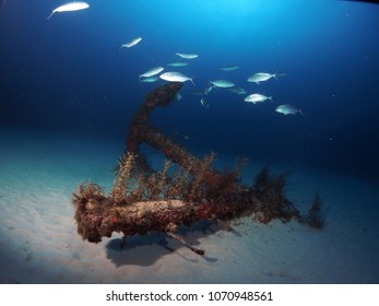 Scuba Diving In Malta - Dwejra, Gozo