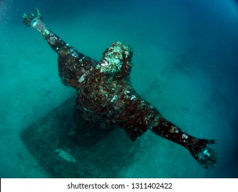 Scuba Diving Malta - Wreck Caverns Marine Life