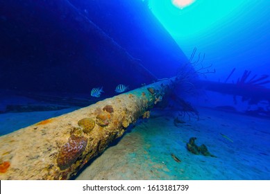 Scuba Diving On The Ship Wreck Of Hilma Hooker