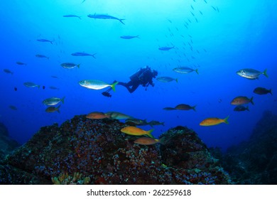 Scuba diving over coral reef with tropical fish
