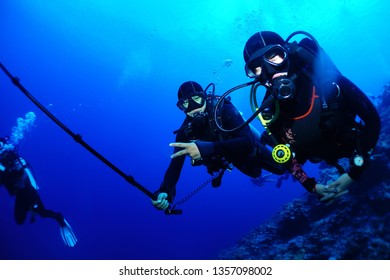    scuba diving philippines                             